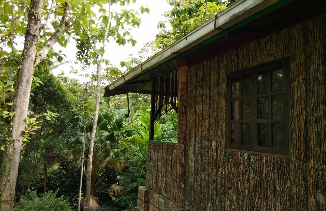 Sepilok Jungle Resort-1